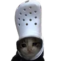 SadCatCroc