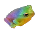 gayfrog
