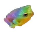 gayfrog