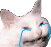 sadpat Discord emoji