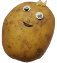 potato