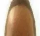 MA_egg3