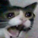 kittyha Discord Emoji