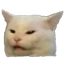 kittysmudge Discord Emoji