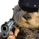 ottergun