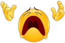wHYYY