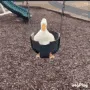 hjonk