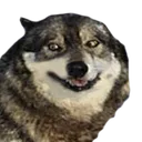 wolfe