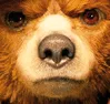 BAERstare BAERstare