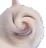 wtfcriticalcat Discord Emoji