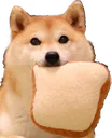 :breadyBOYE: