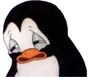 sadpenguin sadpenguin