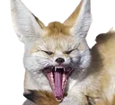FennecScrem