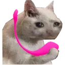 lovensecatLush