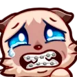 loeyaBraces