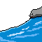 sealslidey Discord emoji