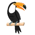 ToucanEat ToucanEat