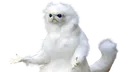bruhCat