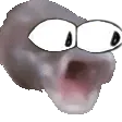woahpog