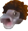pogRoss
