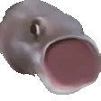 ooooooopog