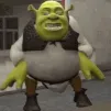 nelshrekdance