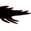 Krill3Tail