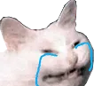 crycat