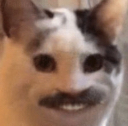 freddycat Discord emoji
