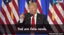 fakenews
