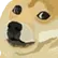 doge
