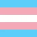 FlagTransgender