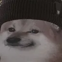 cheems cheems