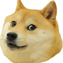 doge