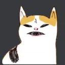 ayeyowhatcat