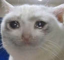 _crying Discord emoji