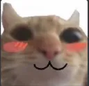 Blush Kitty Discord Emoji