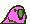 wave8parrot
