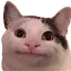 facpalm facpalm