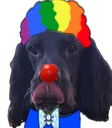 RaskClown