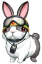bunny bunny