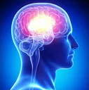 BigBrain