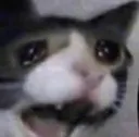 sad_kitty