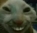 XDD_Alaska