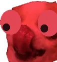DogOhShit