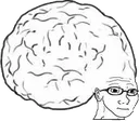 bigbrain