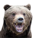 BAERKEK