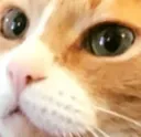 concern