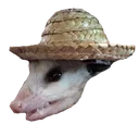 HatOpossum