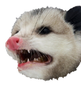 :DisgustOpossum: